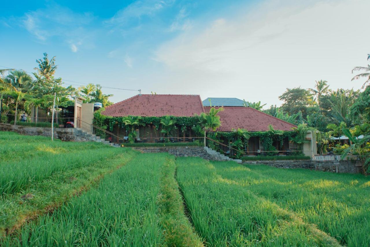 Pangkung Sari Bed And Breakfast Canggu Екстериор снимка