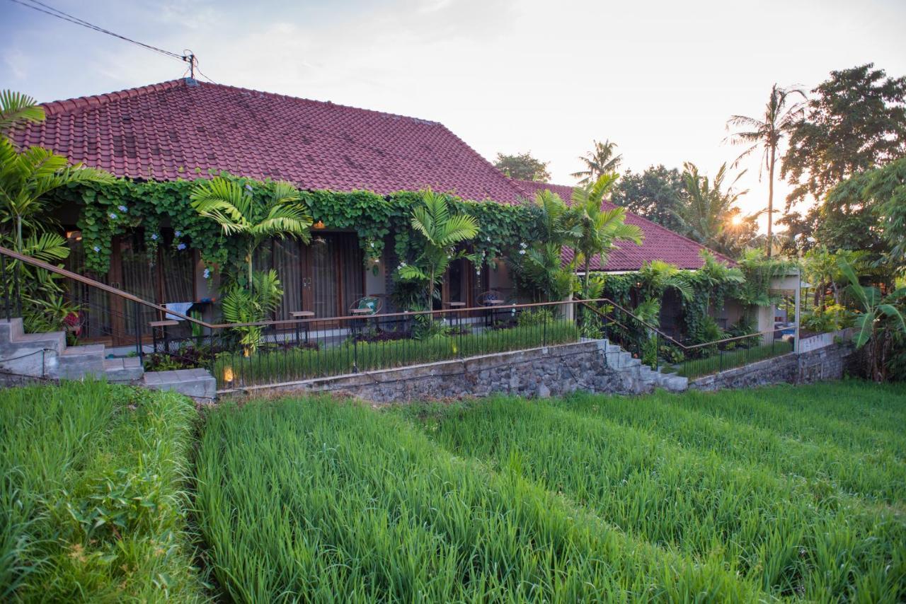 Pangkung Sari Bed And Breakfast Canggu Екстериор снимка